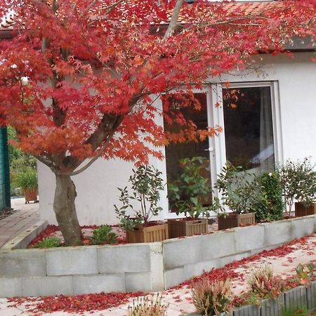 Haus Magnolia 2 Apartment Kandern Bagian luar foto