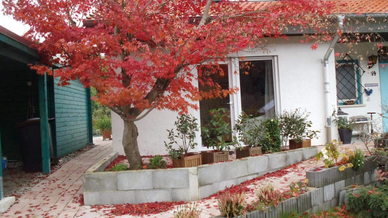 Haus Magnolia 2 Apartment Kandern Bagian luar foto