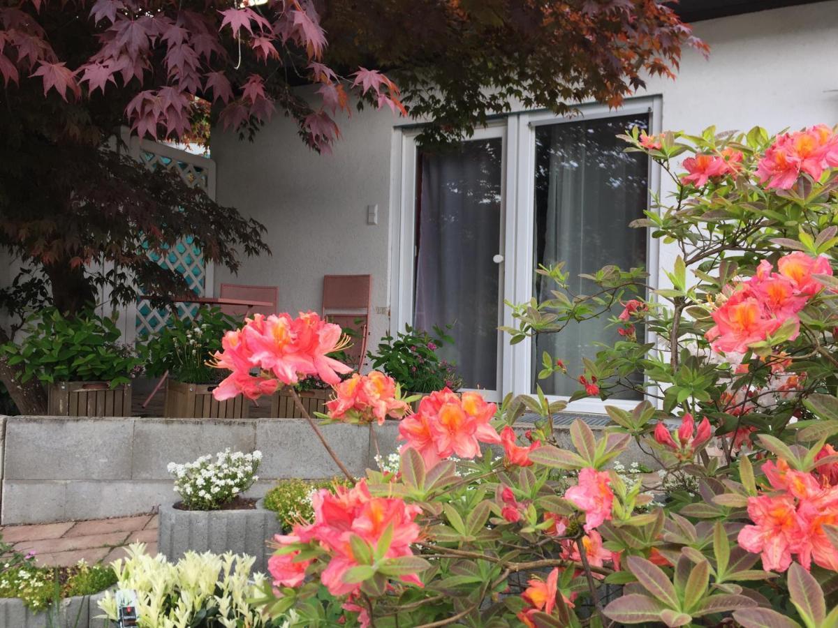 Haus Magnolia 2 Apartment Kandern Bagian luar foto